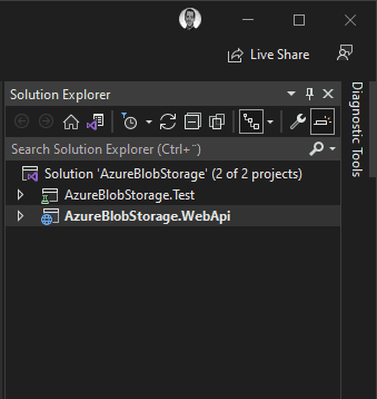 Visual Studio Solution Explorer