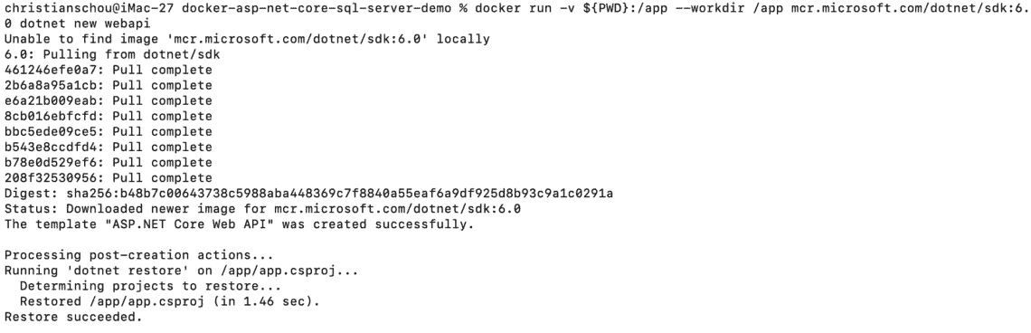 pull docker image, dockerize asp.net core